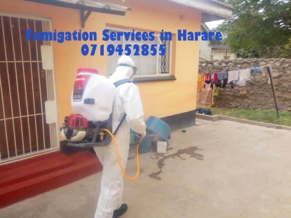 Fumigation Services Harare | 0774114274